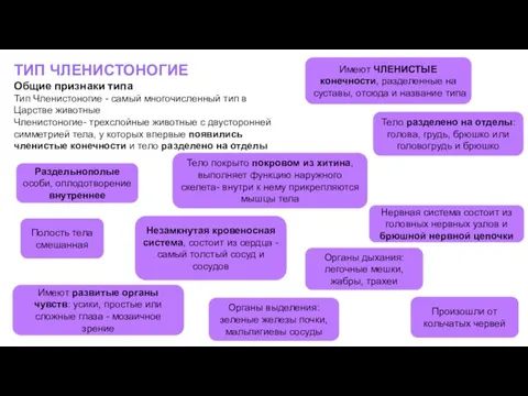 ТИП ЧЛЕНИСТОНОГИЕ Общие признаки типа Тип Членистоногие - самый многочисленный тип