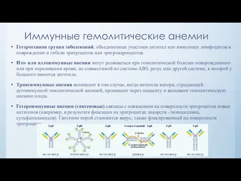 Иммунные гемолитические анемии Гетерогенная группа заболеваний, объединенных участием антител или иммунных