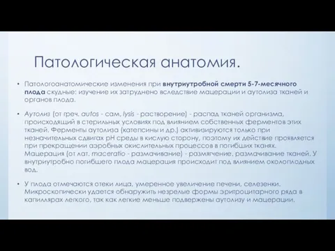 Патологическая анатомия. Патологоанатомические изменения при внутриутробной смерти 5-7-месячного плода скудные: изучение