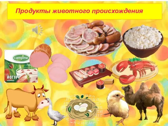 Продукты животного происхождения