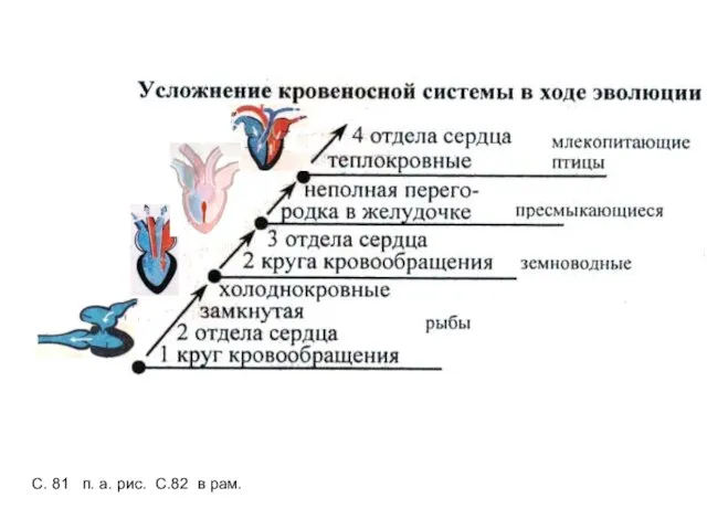 С. 81 п. а. рис. С.82 в рам.