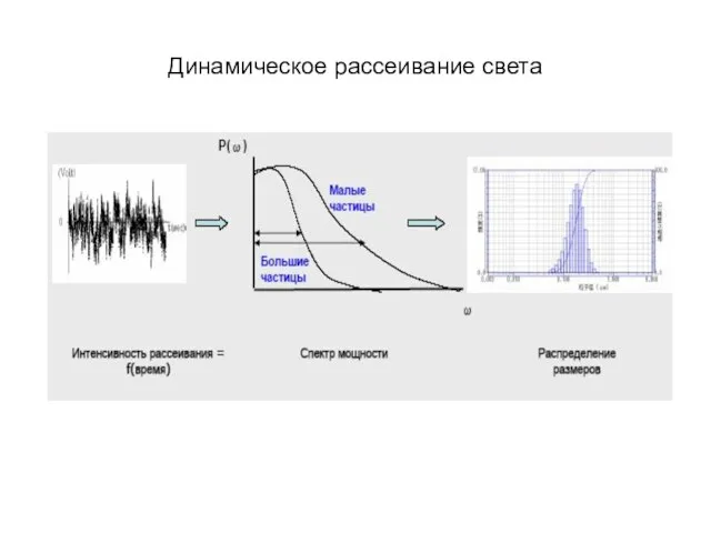 Динамическое рассеивание света