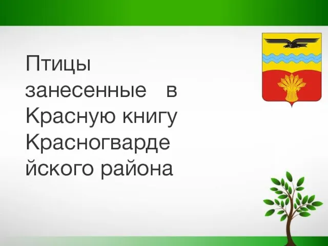 Птицы занесенные в Красную книгу Красногвардейского района