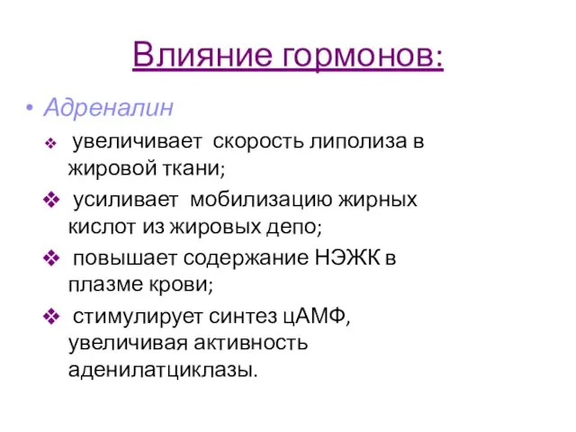 Влияние гормонов: Адреналин увеличивает скорость липолиза в жировой ткани; усиливает мобилизацию