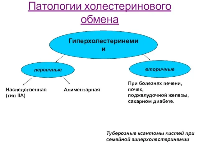 Патологии холестеринового обмена Гиперхолестеринемии первичные вторичные Наследственная (тип IIA) Алиментарная При