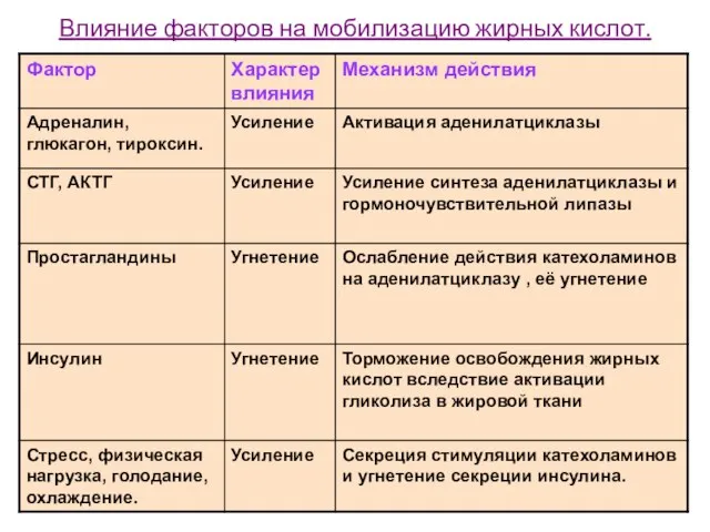 Влияние факторов на мобилизацию жирных кислот.