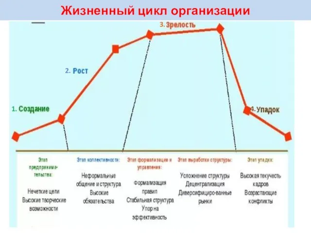 Жизненный цикл организации 1. 2. 3. 4.