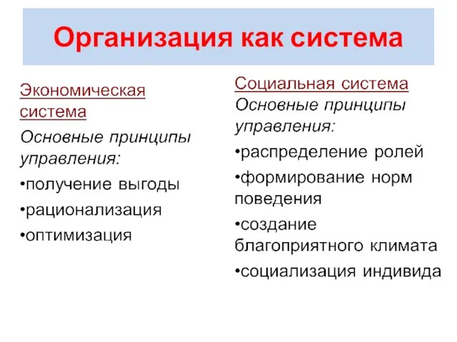 Организация как система