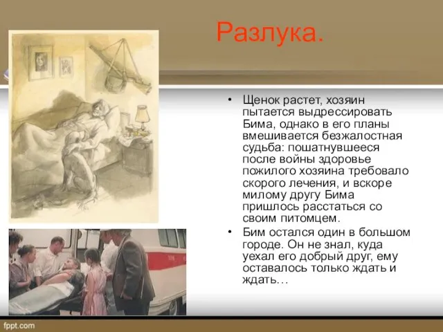 Разлука. Щенок растет, хозяин пытается выдрессировать Бима, однако в его планы