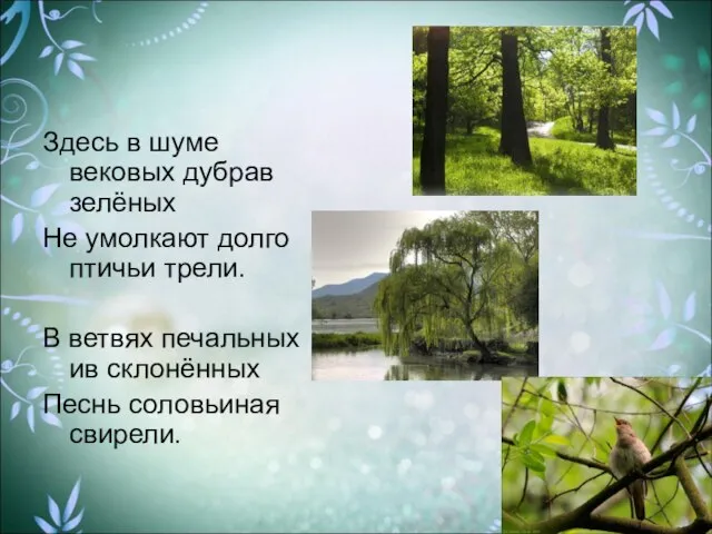 Здесь в шуме вековых дубрав зелёных Не умолкают долго птичьи трели.