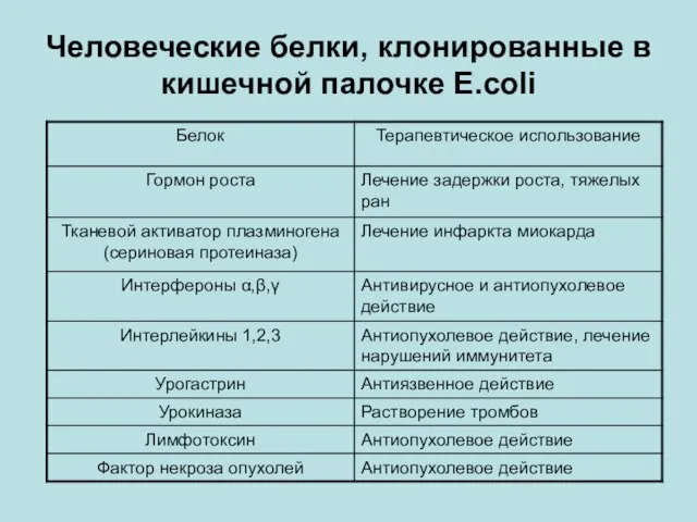 Человеческие белки, клонированные в кишечной палочке E.coli