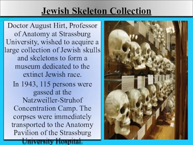 Jewish Skeleton Collection Doctor August Hirt, Professor of Anatomy at Strassburg