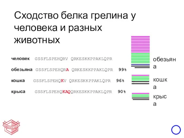 человек GSSFLSPEHQRV QRKESKKPPAKLQPR обезьяна GSSFLSPEHQRA QRKESKKPPAKLQPR 99% кошка GSSFLSPEHQKV QRKESKKPPAKLQPR 96%