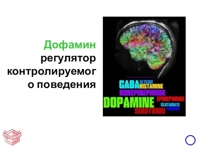 Дофамин регулятор контролируемого поведения