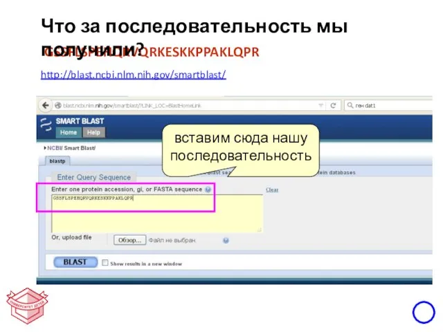 http://blast.ncbi.nlm.nih.gov/smartblast/ GSSFLSPEHQRVQRKESKKPPAKLQPR Что за последовательность мы получили? вставим сюда нашу последовательность