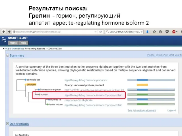 Результаты поиска: Грелин - гормон, регулирующий аппетит appetite-regulating hormone isoform 2