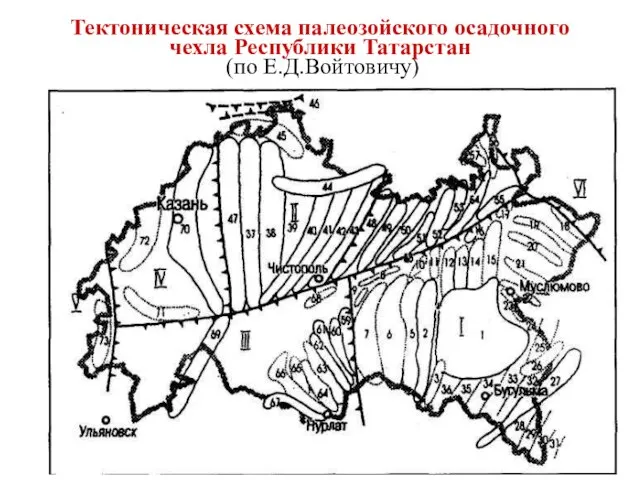 Тектоническая схема палеозойского осадочного чехла Республики Татарстан (по Е.Д.Войтовичу)