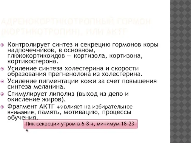 АДРЕНОКОРТИКОТРОПНЫЙ ГОРМОН (КОРТИКОТРОПИН), ИЛИ АКТГ Контролирует синтез и секрецию гормонов коры