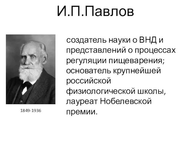 И.П.Павлов создатель науки о ВНД и представлений о процессах регуляции пищеварения;