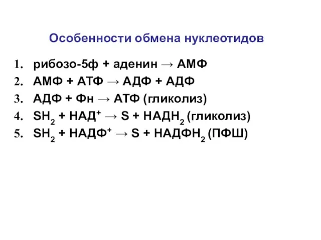 Особенности обмена нуклеотидов рибозо-5ф + аденин → АМФ АМФ + АТФ