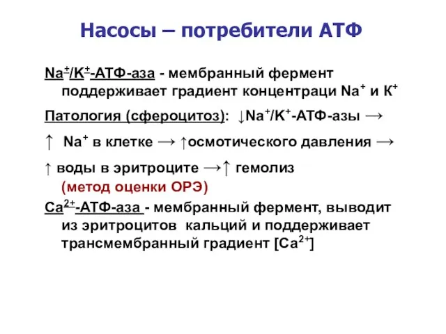 Na+/K+-АТФ-аза - мембранный фермент поддерживает градиент концентраци Na+ и К+ Патология