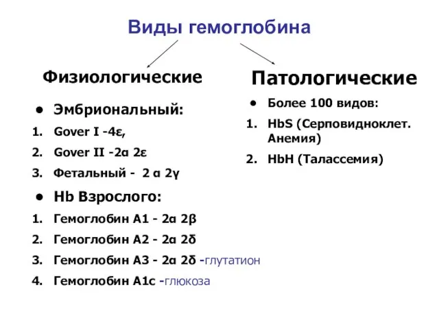 Виды гемоглобина Физиологические Эмбриональный: Gover I -4ε, Gover II -2α 2ε