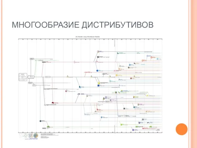 МНОГООБРАЗИЕ ДИСТРИБУТИВОВ