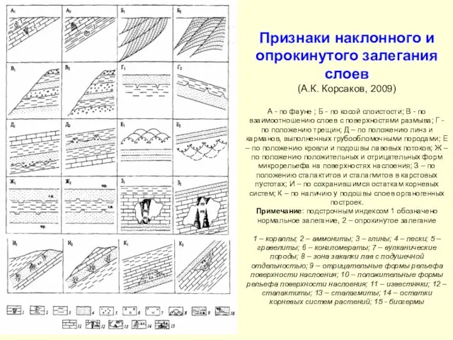 Признаки наклонного и опрокинутого залегания слоев (А.К. Корсаков, 2009) А -