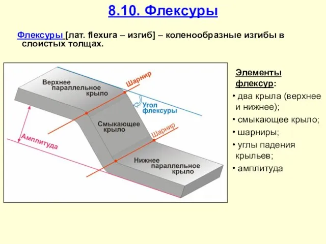 8.10. Флексуры Элементы флексур: два крыла (верхнее и нижнее); смыкающее крыло;