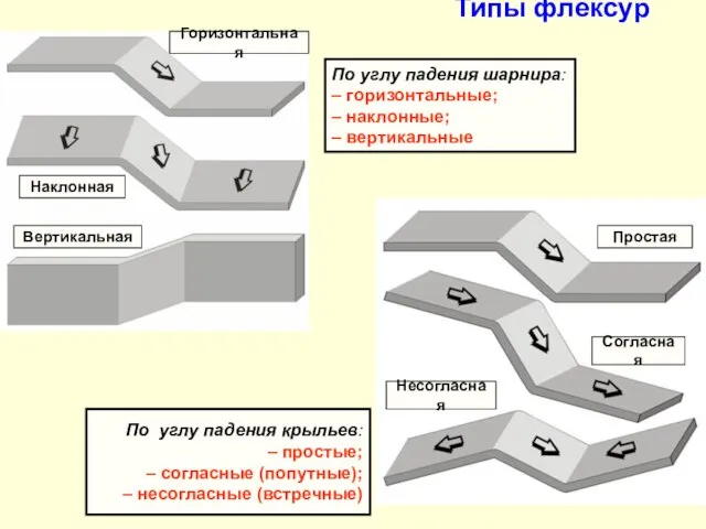 Типы флексур По углу падения крыльев: – простые; – согласные (попутные);