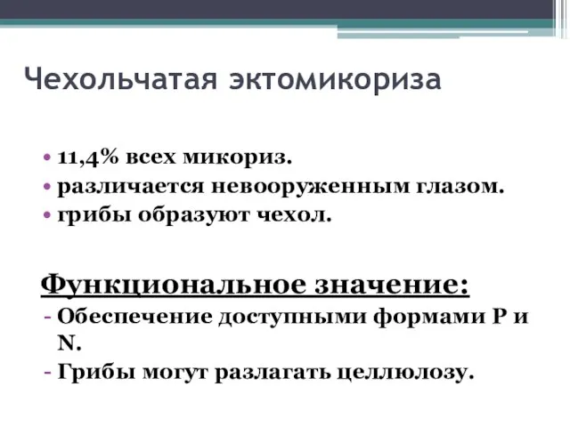 Чехольчатая эктомикориза 11,4% всех микориз. различается невооруженным глазом. грибы образуют чехол.