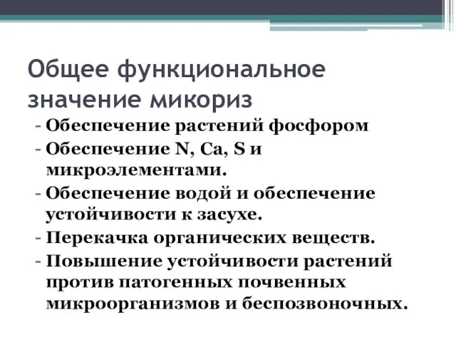 Общее функциональное значение микориз Обеспечение растений фосфором Обеспечение N, Ca, S