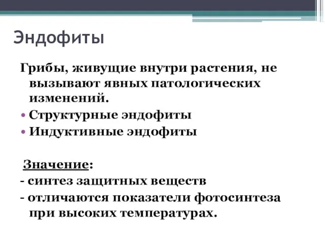 Эндофиты Грибы, живущие внутри растения, не вызывают явных патологических изменений. Структурные