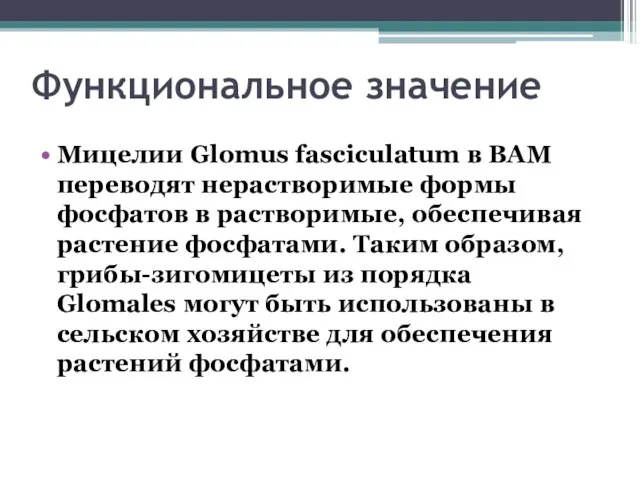 Функциональное значение Мицелии Glomus fasciculatum в ВАМ переводят нерастворимые формы фосфатов