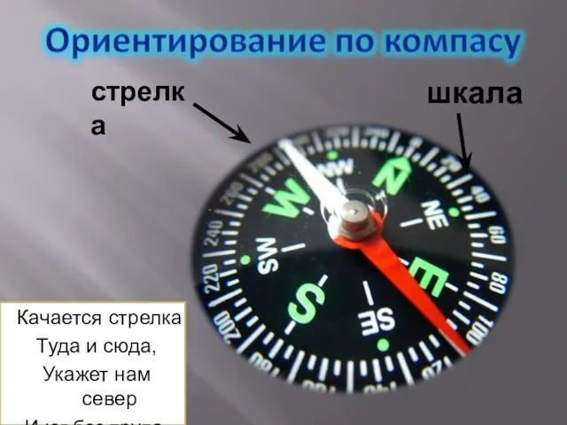 стрелка шкала Качается стрелка Туда и сюда, Укажет нам север И юг без труда.