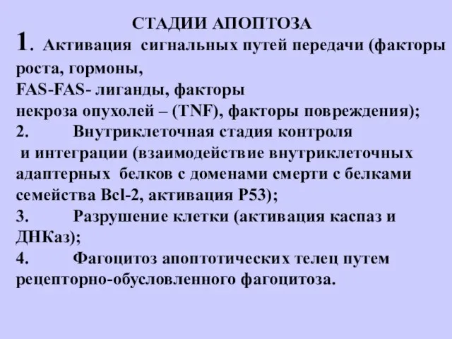 СТАДИИ АПОПТОЗА 1. Активация сигнальных путей передачи (факторы роста, гормоны, FAS-FAS-