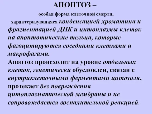 АПОПТОЗ – особая форма клеточной смерти, характеризующаяся конденсацией хроматина и фрагментацией