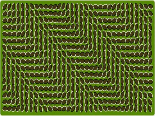 иллюзия движения В этом случае статическое и неподвижное изображение как бы оживает и начинает двигаться.