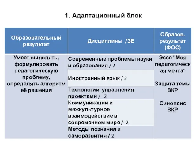 1. Адаптационный блок