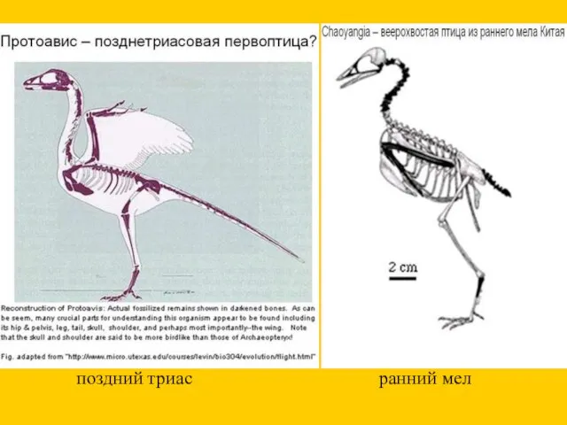 ранний мел поздний триас