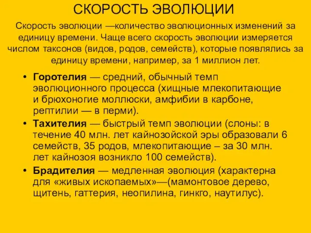 СКОРОСТЬ ЭВОЛЮЦИИ Горотелия — средний, обычный темп эволюционного процесса (хищные млекопитающие