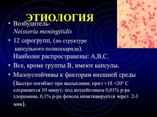 ЭТИОЛОГИЯ Возбудитель- Neisseria meningitidis 12 серогрупп, (по структуре капсульного полисахарида). Наиболее