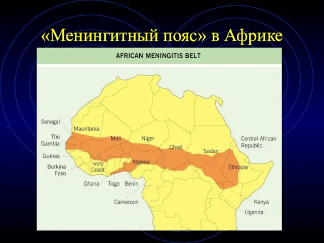 «Менингитный пояс» в Африке