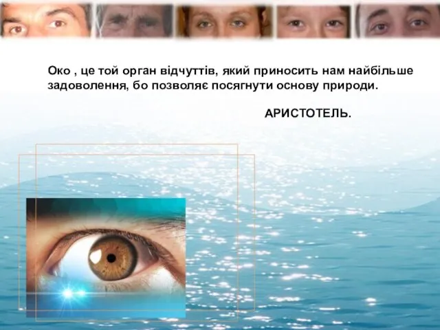Око , це той орган відчуттів, який приносить нам найбільше задоволення,