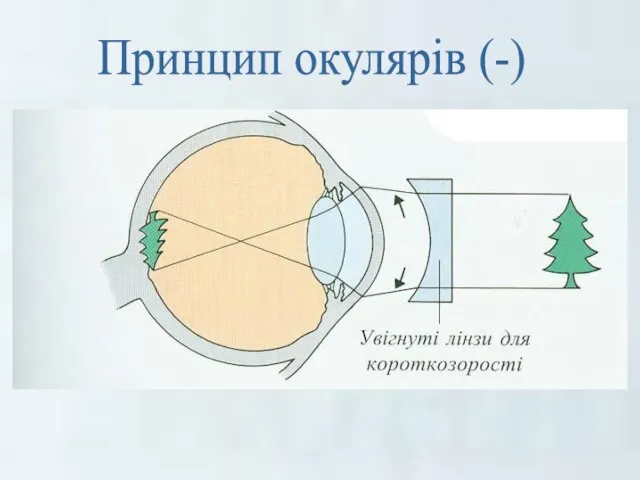 Принцип окулярів (-)