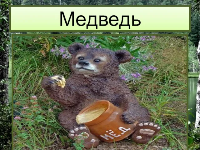 Медведь