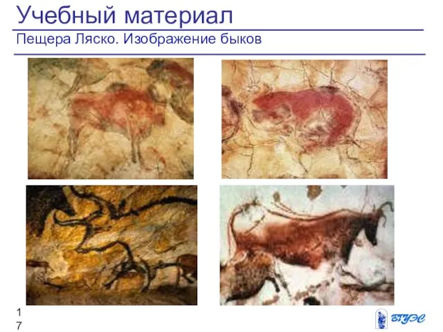Учебный материал Пещера Ляско. Изображение быков