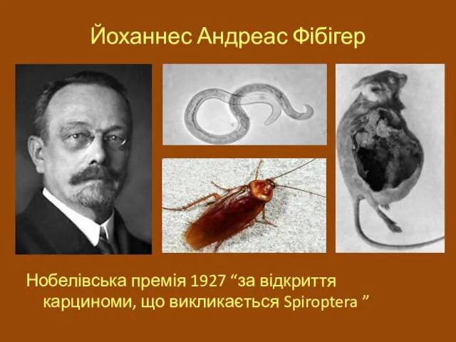 Йоханнес Андреас Фібігер Нобелівська премія 1927 “за відкриття карциноми, що викликається Spiroptera ”