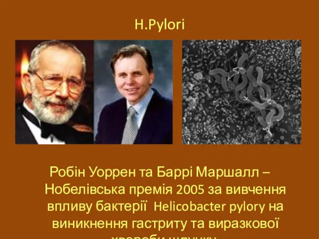 H.Pylori Робін Уоррен та Баррі Маршалл – Нобелівська премія 2005 за