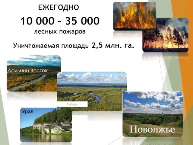 10 000 – 35 000 лесных пожаров Уничтожаемая площадь 2,5 млн. га. ЕЖЕГОДНО Урал
